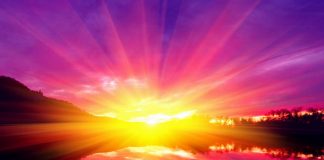 L’Ascension en Action : l’Égrégore de l’Ascension